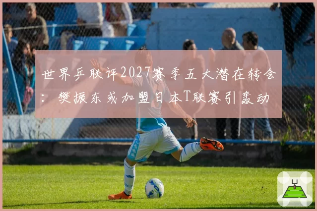 世界乒联评2027赛季五大潜在转会：樊振东或加盟日本T联赛引轰动