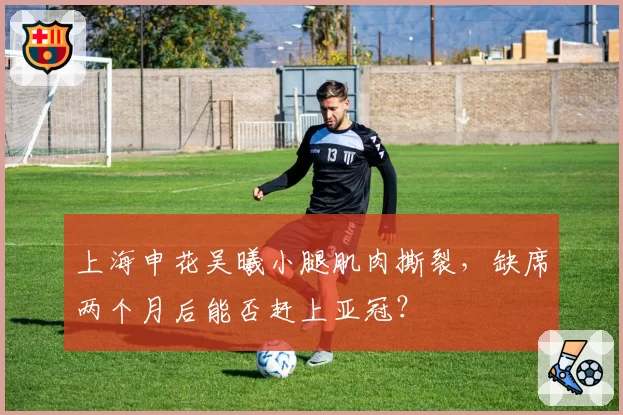 上海申花吴曦小腿肌肉撕裂，缺席两个月后能否赶上亚冠？