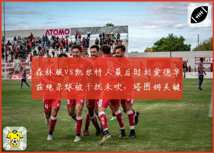 森林狼vs凯尔特人最后时刻爱德华兹绝杀球被干扰未吹，塔图姆关键封盖存争议