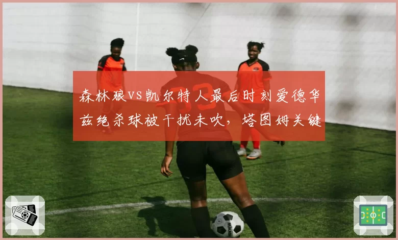 森林狼vs凯尔特人最后时刻爱德华兹绝杀球被干扰未吹，塔图姆关键封盖存争议